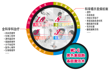 MC-G翵ϵ